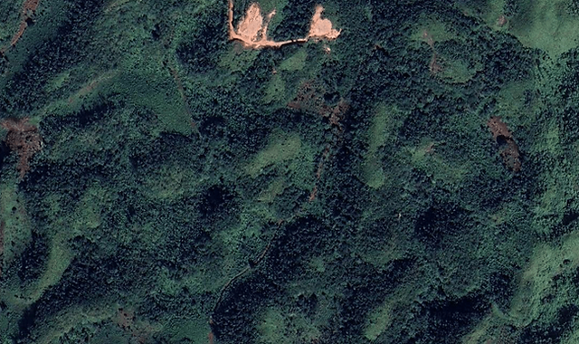 Ceiba Llano