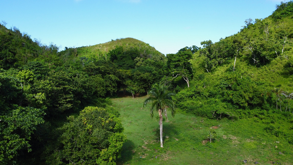 Ohana Residence aerial view