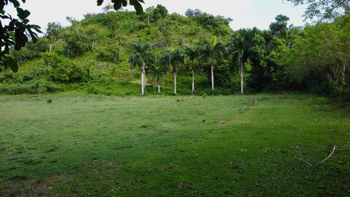 Ohana Residence land plan area